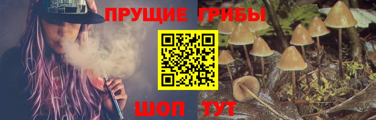 Гурьевск  Псилоцибиновые грибы ЛСД  Галлюциногенные грибы ЛСД  Вход с VPN 